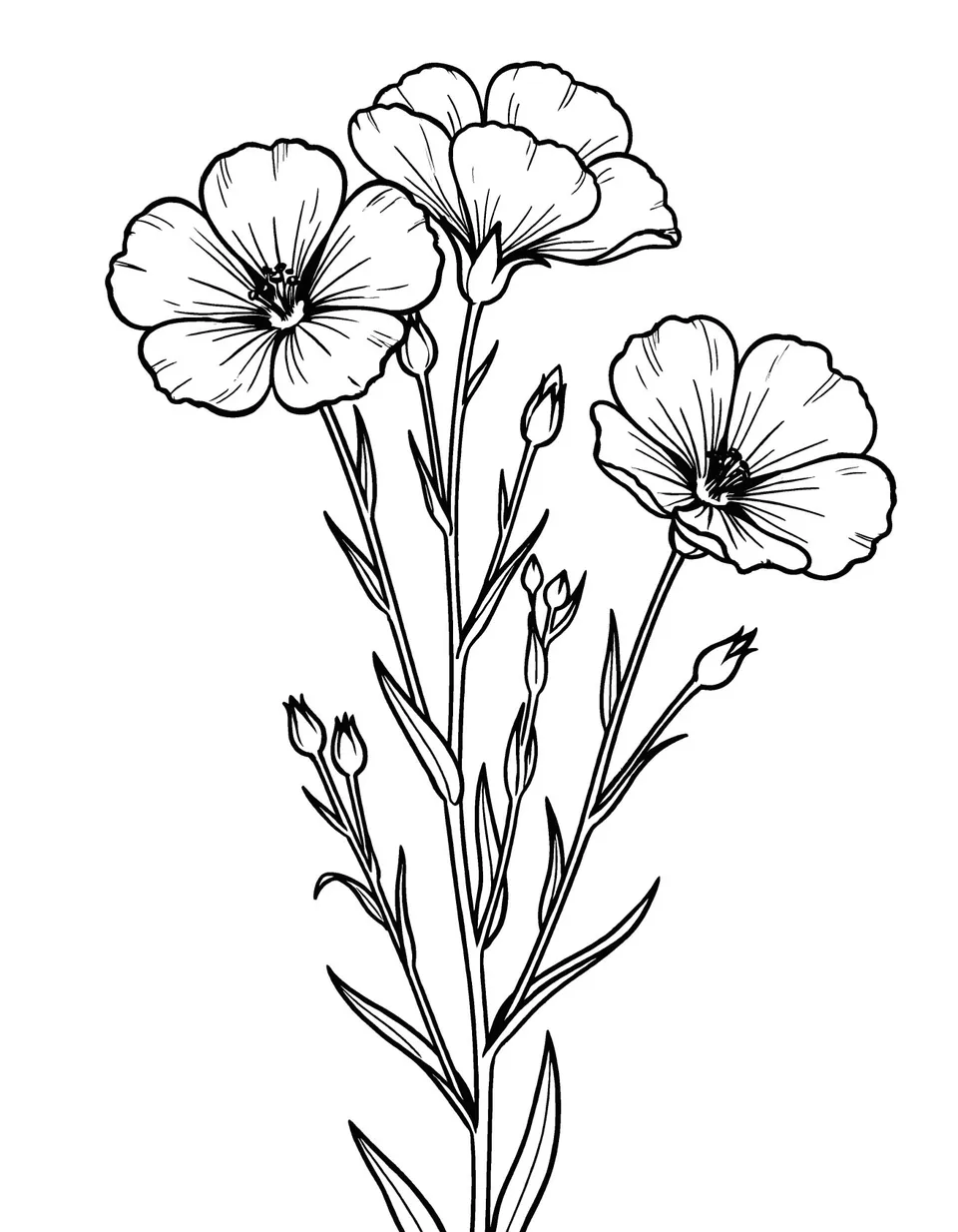 Interior page — 50 Meadow Flowers